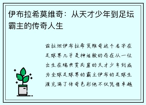 伊布拉希莫维奇：从天才少年到足坛霸主的传奇人生