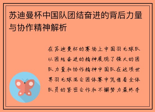苏迪曼杯中国队团结奋进的背后力量与协作精神解析