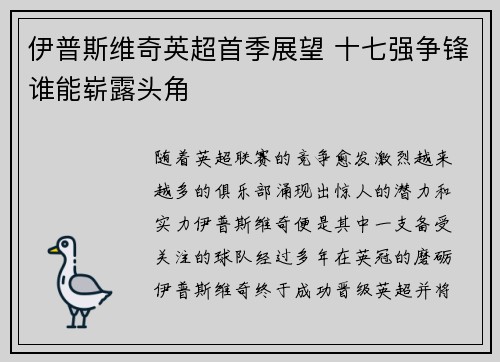 伊普斯维奇英超首季展望 十七强争锋谁能崭露头角